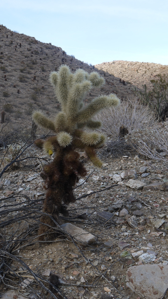 P1040557.JPG P1040557.JPG