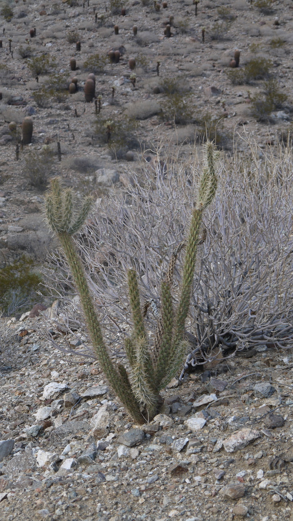 P1040558.JPG P1040558.JPG