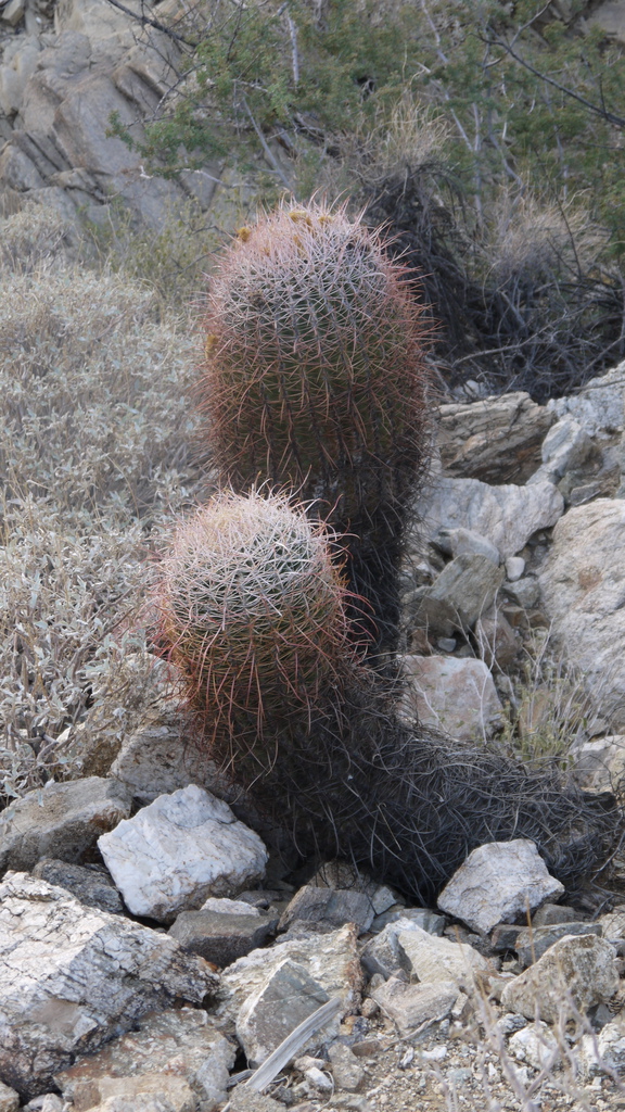 P1040559.JPG P1040559.JPG