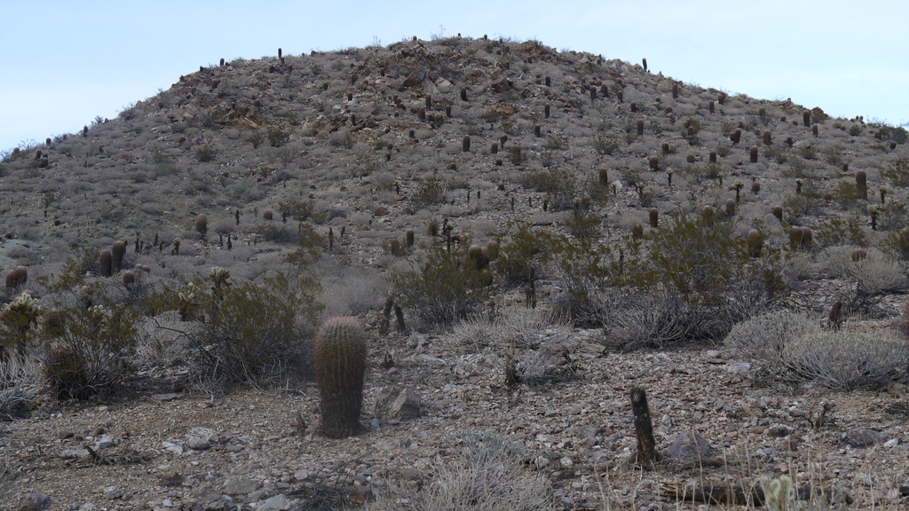 P1040561.JPG P1040561.JPG