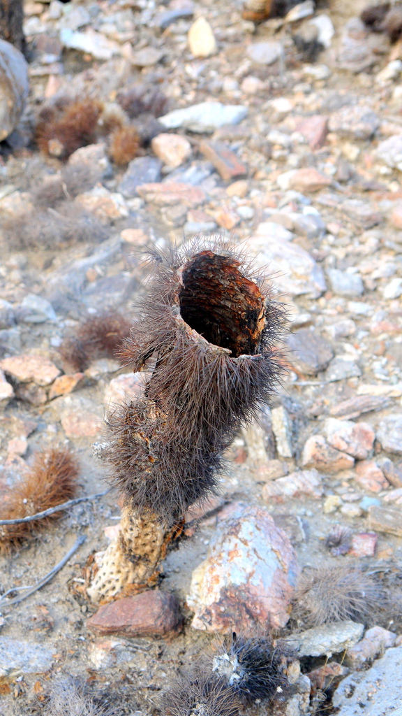 P1040562.JPG P1040562.JPG