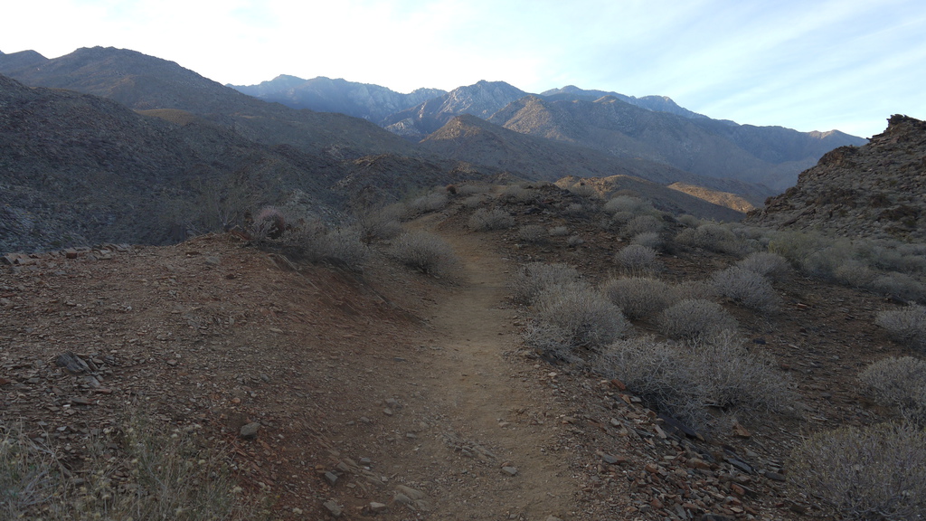 P1040564.JPG P1040564.JPG