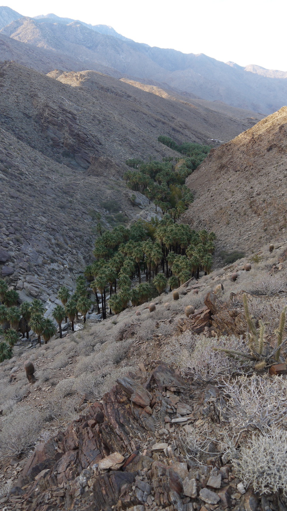 P1040567.JPG P1040567.JPG