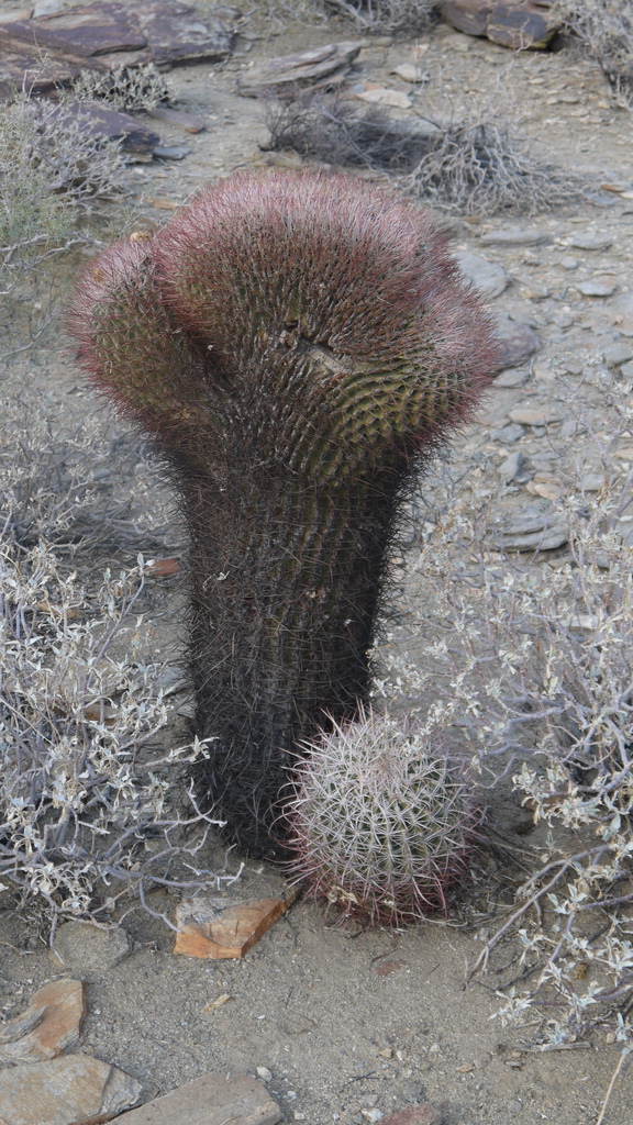 P1040568.JPG P1040568.JPG