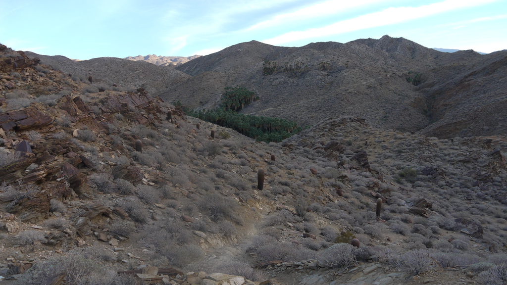 P1040571.JPG P1040571.JPG