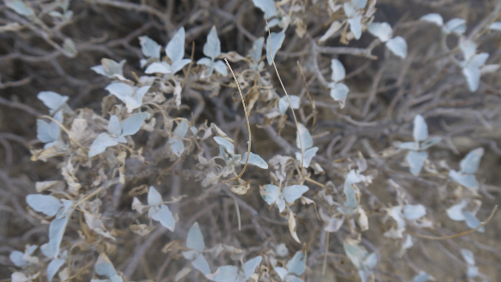 P1040572.JPG P1040572.JPG