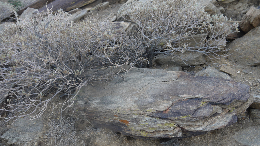 P1040573.JPG P1040573.JPG