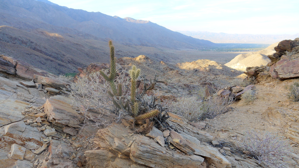 P1040574.JPG P1040574.JPG