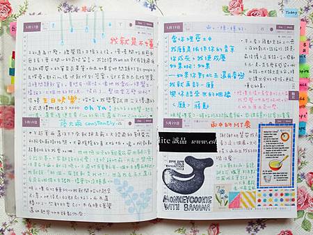 5月手帳分享25