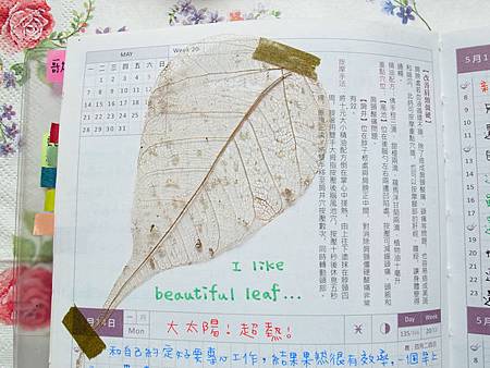 5月手帳分享27
