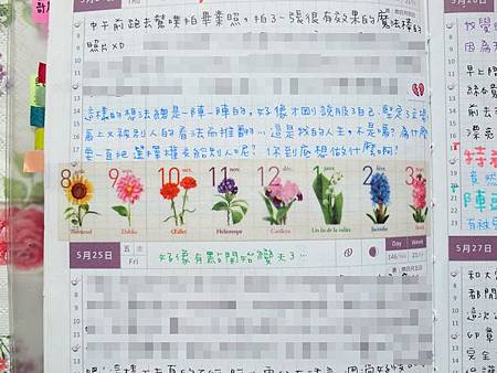 5月手帳分享33-3