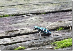 DSCF9421_Resize DSCF9421_Resize