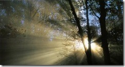 possibilities-e1293171094163 possibilities-e1293171094163