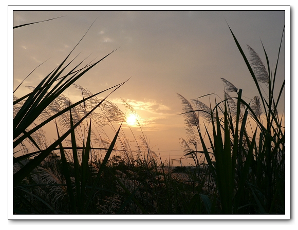 20090921 921十週年_騎單車造訪車籠埔斷層 20090921 921十週年_騎單車造訪車籠埔斷層