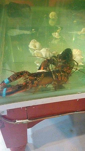 10904368_10153051847105489_2084143344_n 10904368_10153051847105489_2084143344_n