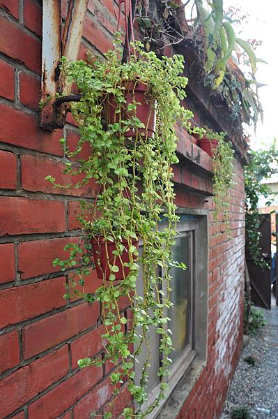 DSC_0494.JPG DSC_0494.JPG