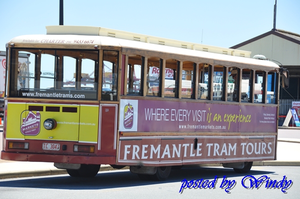 Fremantle路面電車 Fremantle路面電車