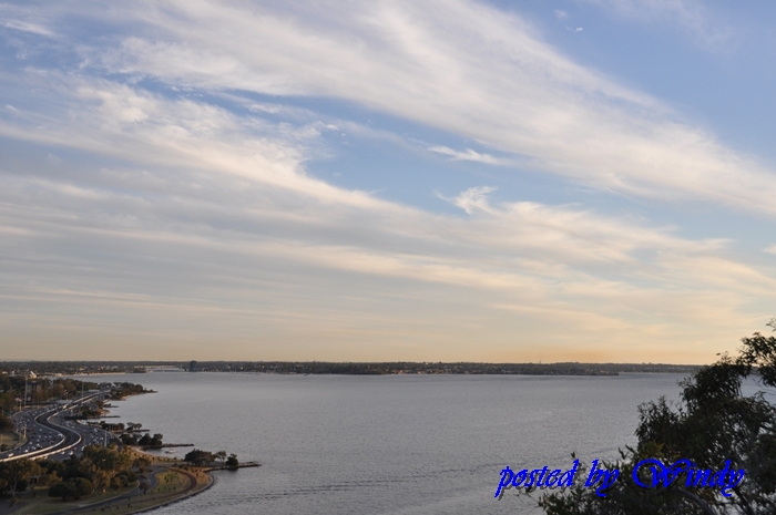 King Park可以看到整個Perth市區景色 King Park可以看到整個Perth市區景色