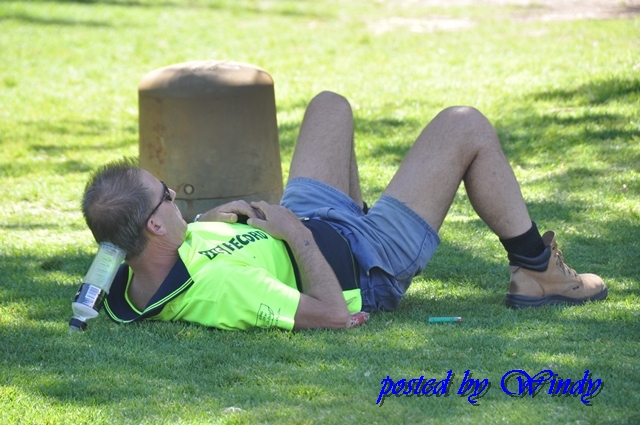 這樣睡午覺太屌了 這樣睡午覺太屌了