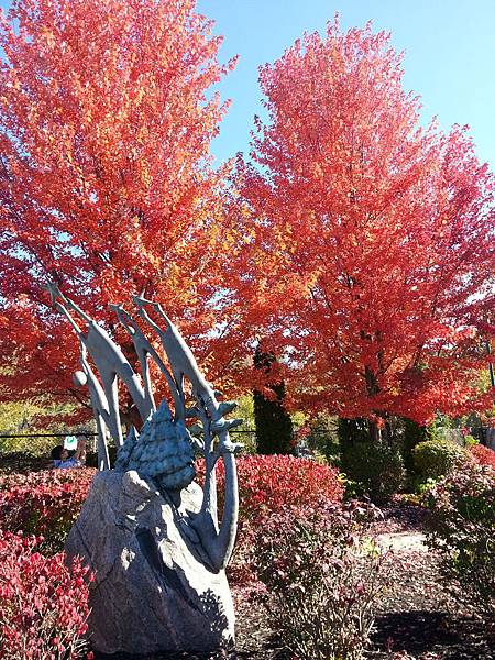 20131012_141134 20131012_141134