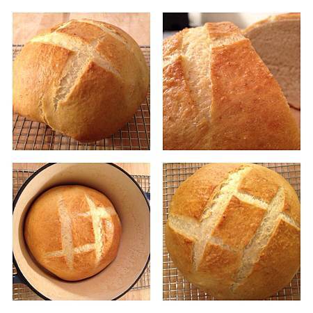 537064_494111673978949_491763478_n