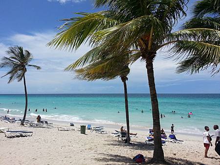 20130827_141118 20130827_141118