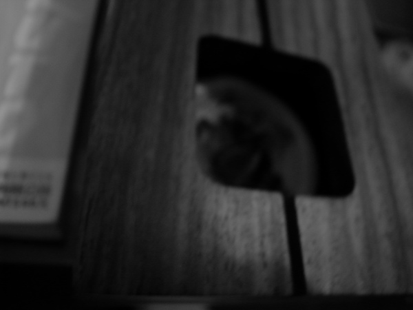 _0011505.JPG _0011505.JPG