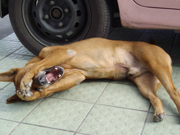 IMGP0223.JPG IMGP0223.JPG