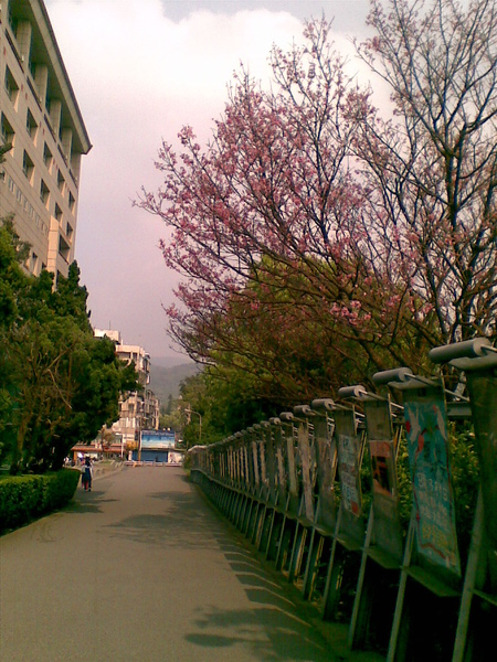 20100306(003).jpg