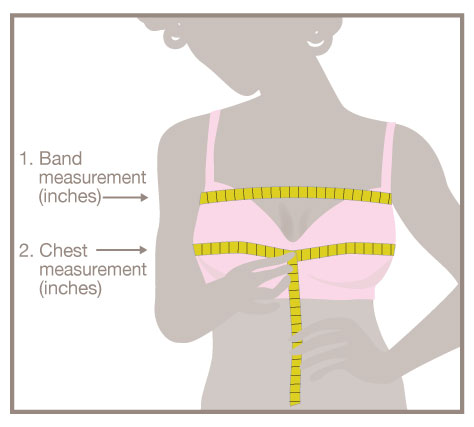 sizing_back_illus.jpg sizing_back_illus.jpg