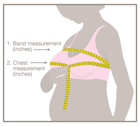 Preg_sizing_2.jpg Preg_sizing_2.jpg