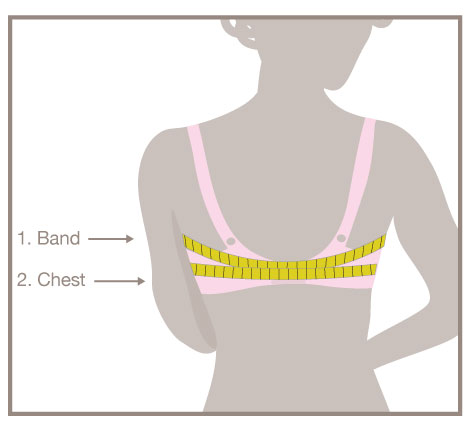 sizing_back_illus.jpg sizing_back_illus.jpg
