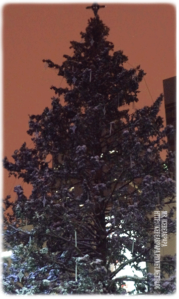 1129_85.gif 1129_85.gif