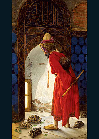 KS Games 1000P Der Schildkr&ouml;tenz&auml;hmer