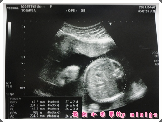 DSC03929.JPG DSC03929.JPG