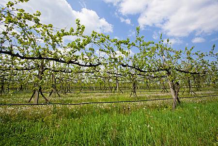 shutterstock_97936142