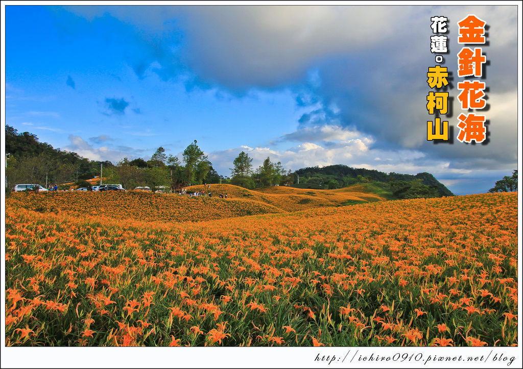 [遊記]【花蓮縣玉里鎮】2014。赤柯(科)山金針花海~俯瞰花東縱谷美景 @ 〃風の攝影趣〃 :: 痞客邦 PIXNET ::