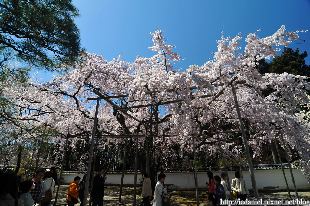 DSC_1484.jpg DSC_1484.jpg