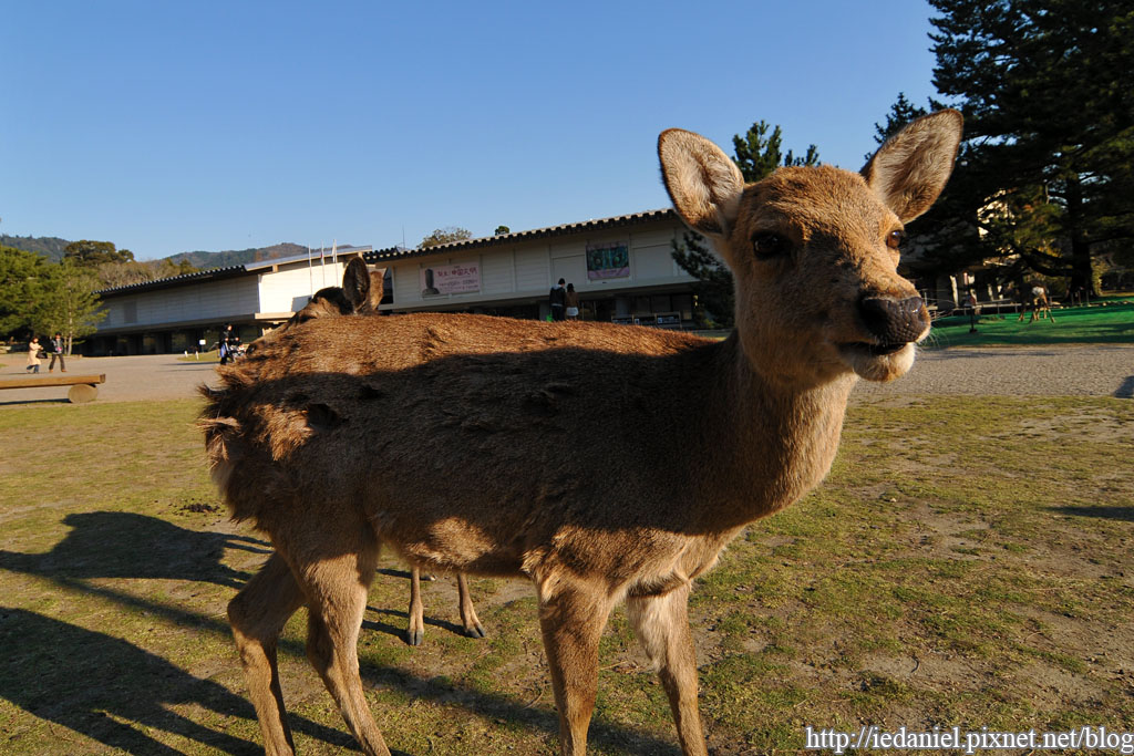 DSC_2227.jpg DSC_2227.jpg