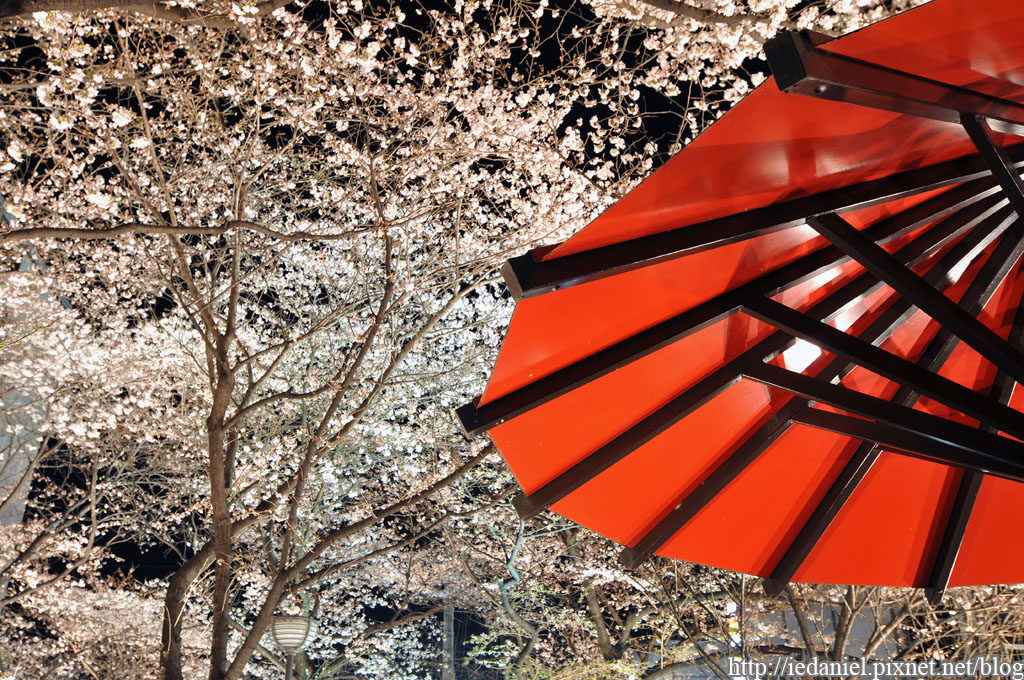 DSC_1880.jpg DSC_1880.jpg