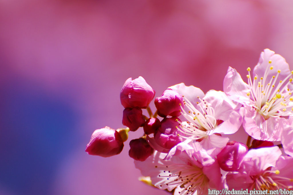 DSC_0276.jpg DSC_0276.jpg