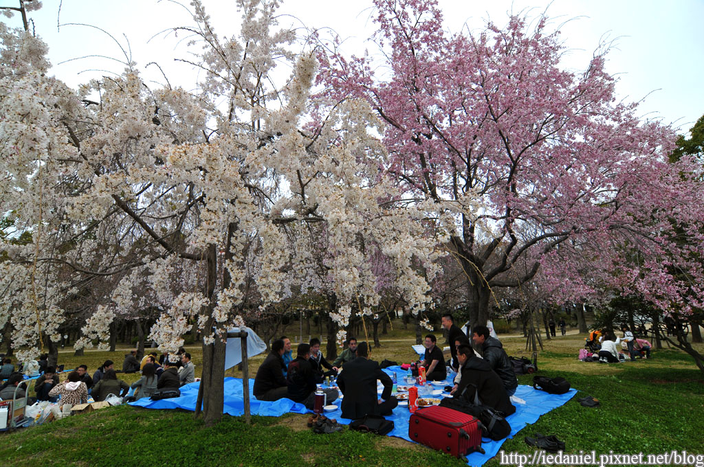 DSC_1201.jpg DSC_1201.jpg