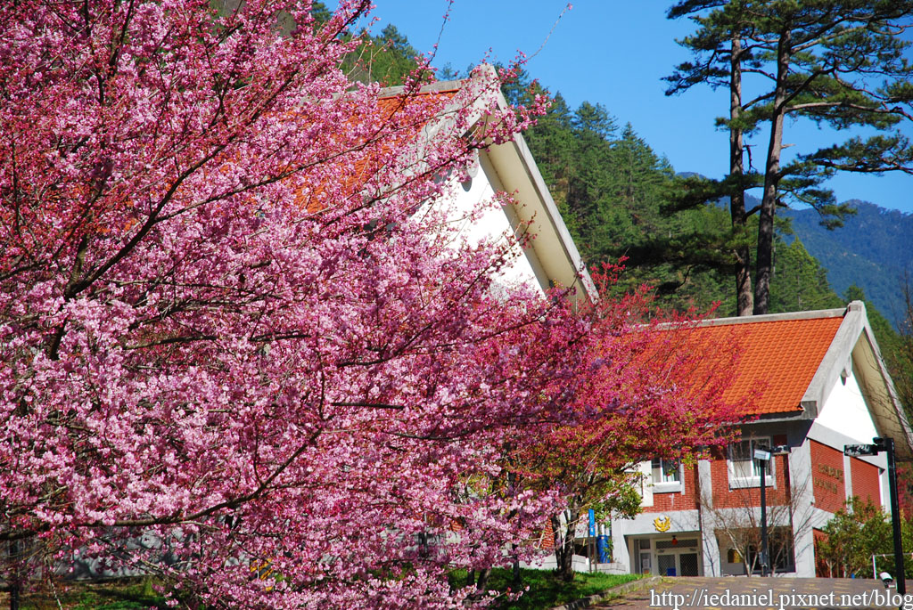 DSC_0178.jpg DSC_0178.jpg