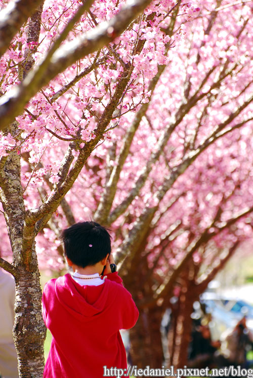 DSC_0350.jpg DSC_0350.jpg