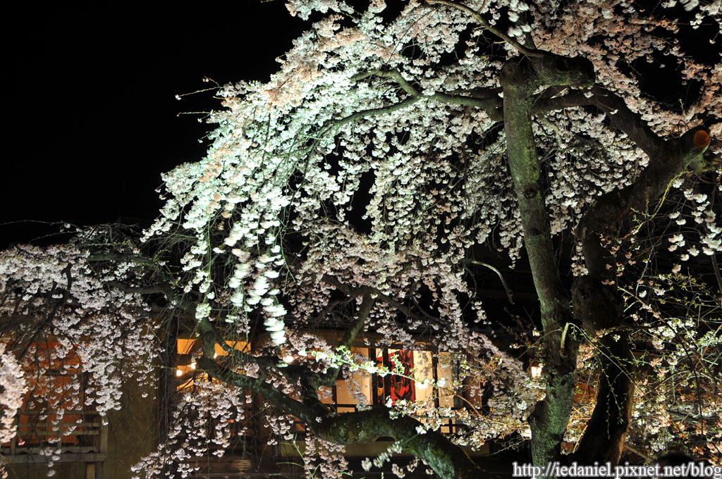 DSC_1918.jpg DSC_1918.jpg