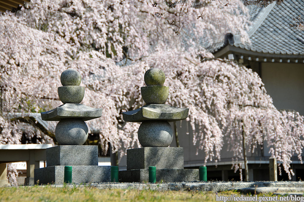 DSC_1705.jpg DSC_1705.jpg