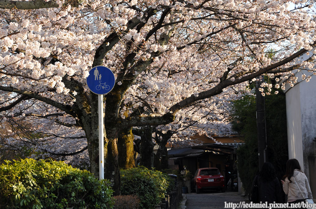 DSC_2606.jpg DSC_2606.jpg