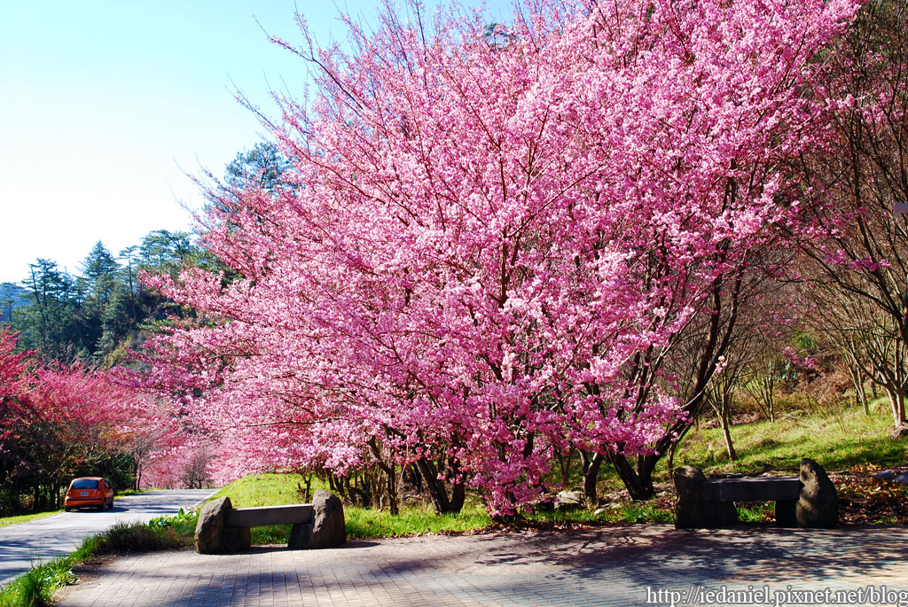 DSC_0174.jpg DSC_0174.jpg