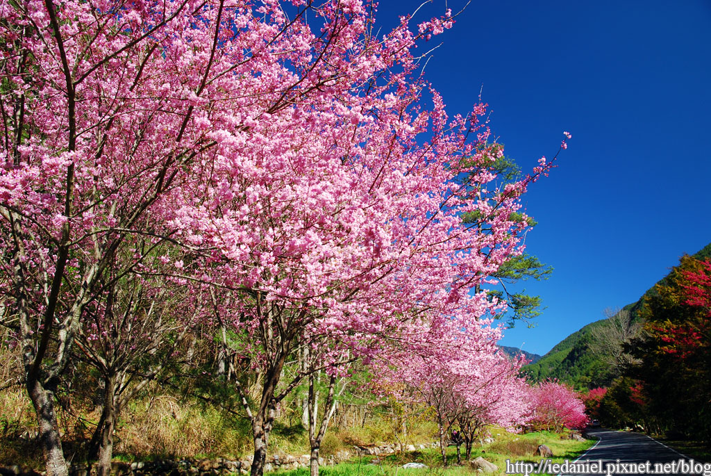 DSC_0109.jpg DSC_0109.jpg