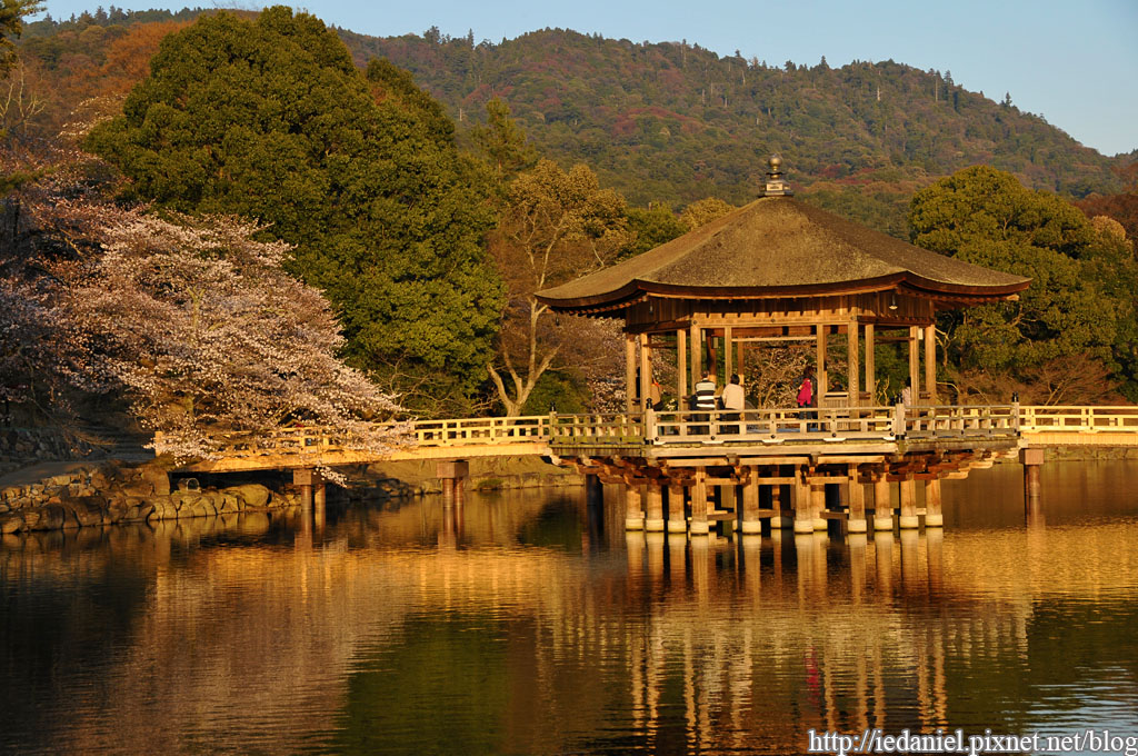 DSC_2332.jpg DSC_2332.jpg